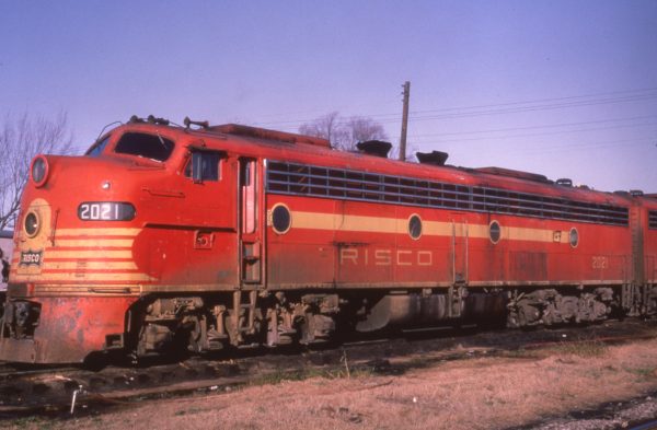 E8A 2021 (Gallahadion) (date and location unknown)