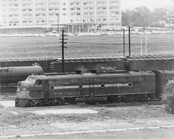 E8A 2013 (Sea Biscuit) (date and location unknown)